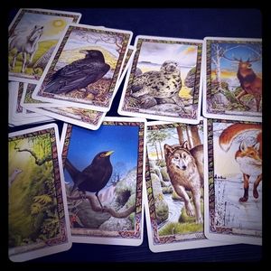 The Druid Animal Oracle Tarot Cards/book